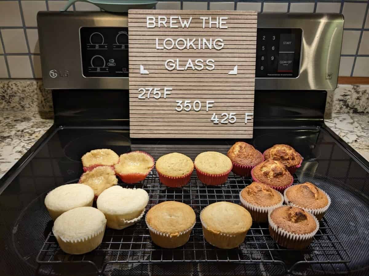 The Science Behind Fermentation Temperature: An Illustration with ...