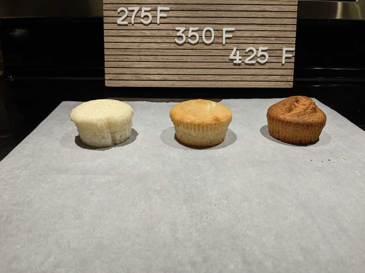 Fermentation Temperature Experiment: Cupcakes