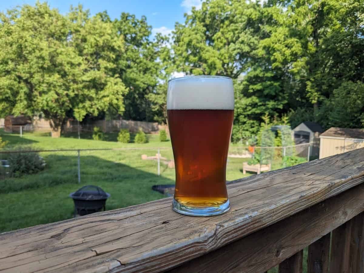 American Amber Ale